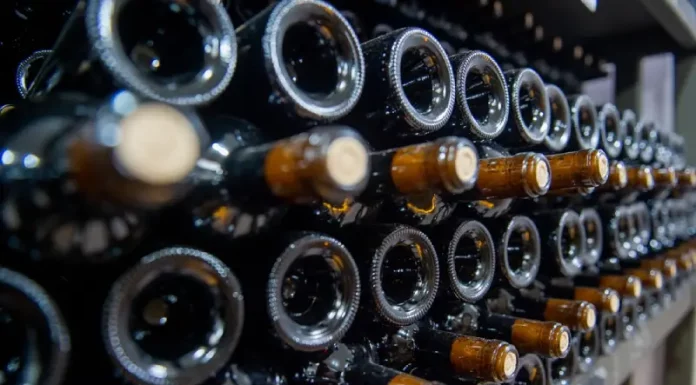 Garrafas de vinho armazenadas em adega representam o crescimento das vinícolas e da produção vitivinícola em Santa Catarina.