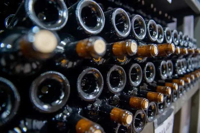 Garrafas de vinho armazenadas em adega representam o crescimento das vinícolas e da produção vitivinícola em Santa Catarina.