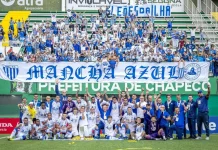 Avaí faz “coza” e a Seleção ainda não convence Jogadores do Avaí posam junto com a torcida após conquistar a Copa Copa Sul-Sudeste