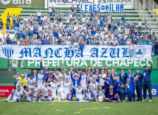 Avaí faz “coza” e a Seleção ainda não convence Jogadores do Avaí posam junto com a torcida após conquistar a Copa Copa Sul-Sudeste