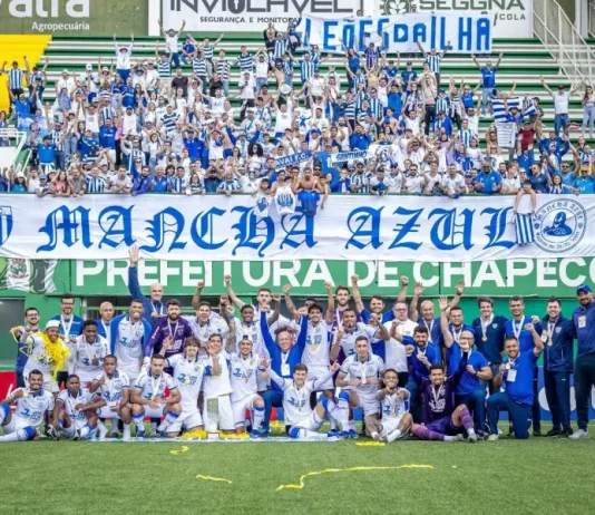 Avaí faz “coza” e a Seleção ainda não convence Jogadores do Avaí posam junto com a torcida após conquistar a Copa Copa Sul-Sudeste