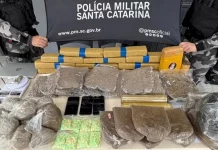 BPChoque apreende mais de 25 kg de drogas em Florianópolis Drogas apreendidas pelo BPChoque em Florianópolis