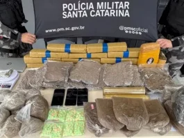 BPChoque apreende mais de 25 kg de drogas em Florianópolis Drogas apreendidas pelo BPChoque em Florianópolis