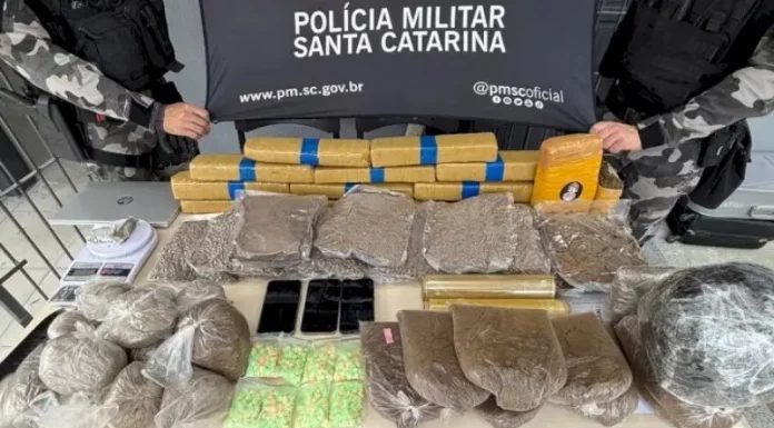 BPChoque apreende mais de 25 kg de drogas em Florianópolis Drogas apreendidas pelo BPChoque em Florianópolis