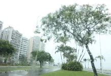 Vista de avenida em Santa Catarina sob chuva, com pista molhada, árvores balançando ao vento e prédios ao fundo, ilustrando o retorno do tempo instável no estado.