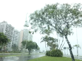 Chuva retorna a Santa Catarina neste fim de semana e frio intenso perde força Vista de avenida em Santa Catarina sob chuva, com pista molhada, árvores balançando ao vento e prédios ao fundo, ilustrando o retorno do tempo instável no estado.