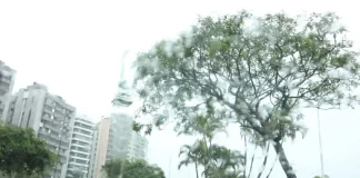Vista de avenida em Santa Catarina sob chuva, com pista molhada, árvores balançando ao vento e prédios ao fundo, ilustrando o retorno do tempo instável no estado.