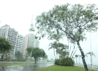 Vista de avenida em Santa Catarina sob chuva, com pista molhada, árvores balançando ao vento e prédios ao fundo, ilustrando o retorno do tempo instável no estado.