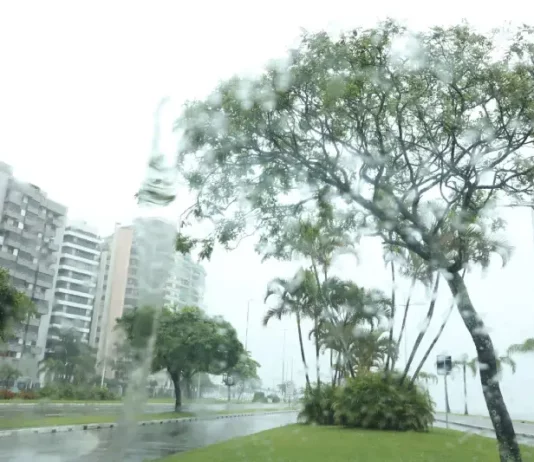 Vista de avenida em Santa Catarina sob chuva, com pista molhada, árvores balançando ao vento e prédios ao fundo, ilustrando o retorno do tempo instável no estado.