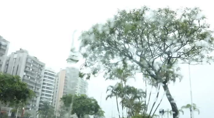 Chuva retorna a Santa Catarina neste fim de semana e frio intenso perde força Vista de avenida em Santa Catarina sob chuva, com pista molhada, árvores balançando ao vento e prédios ao fundo, ilustrando o retorno do tempo instável no estado.