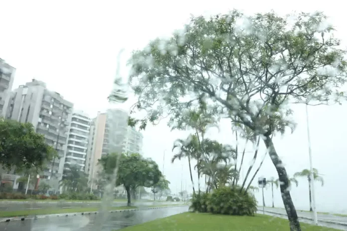 Vista de avenida em Santa Catarina sob chuva, com pista molhada, árvores balançando ao vento e prédios ao fundo, ilustrando o retorno do tempo instável no estado.