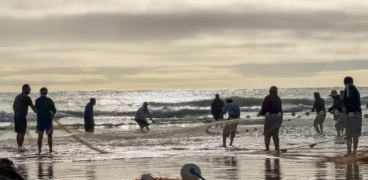 Pescadores realizam arrasto de rede na praia durante a pesca artesanal da tainha no litoral de Santa Catarina, em atividade relacionada às cotas da pesca da tainha, que impactam comunidades tradicionais da região.