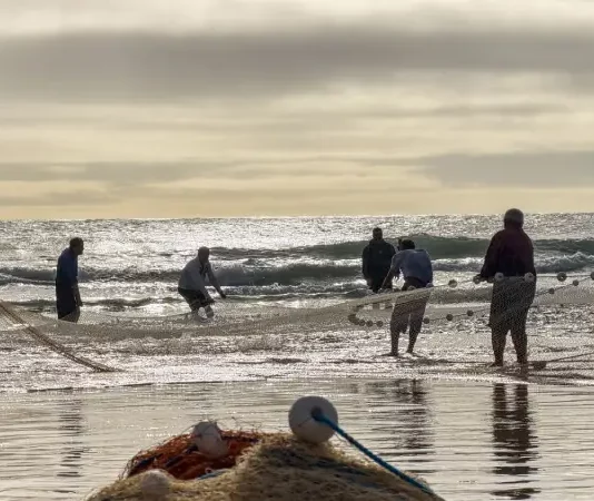 Pescadores realizam arrasto de rede na praia durante a pesca artesanal da tainha no litoral de Santa Catarina, em atividade relacionada às cotas da pesca da tainha, que impactam comunidades tradicionais da região.