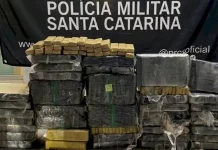 PMSC apreende mais de uma tonelada de maconha no fim de semana Tbletes de maconha apreendidos pela PMSC durante o final de semana