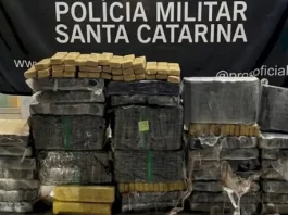 Tbletes de maconha apreendidos pela PMSC durante o final de semana