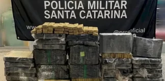 Tbletes de maconha apreendidos pela PMSC durante o final de semana