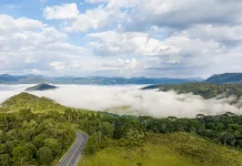 Vista panorâmica de montanhas e áreas de vegetação em Santa Catarina, com neblina cobrindo os vales e uma estrada atravessando a paisagem sob céu com nuvens. A imagem ilustra a atuação de uma massa de ar frio no estado, responsável pela manutenção do tempo firme e pela queda das temperaturas ao longo da semana.