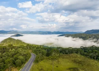 Massa de ar frio derruba temperaturas e mantém tempo firme até quinta-feira em SC Vista panorâmica de montanhas e áreas de vegetação em Santa Catarina, com neblina cobrindo os vales e uma estrada atravessando a paisagem sob céu com nuvens. A imagem ilustra a atuação de uma massa de ar frio no estado, responsável pela manutenção do tempo firme e pela queda das temperaturas ao longo da semana.