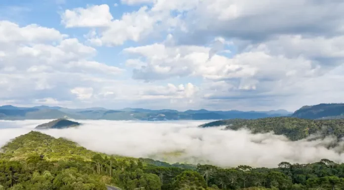 Massa de ar frio derruba temperaturas e mantém tempo firme até quinta-feira em SC Vista panorâmica de montanhas e áreas de vegetação em Santa Catarina, com neblina cobrindo os vales e uma estrada atravessando a paisagem sob céu com nuvens. A imagem ilustra a atuação de uma massa de ar frio no estado, responsável pela manutenção do tempo firme e pela queda das temperaturas ao longo da semana.