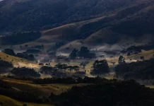 paisagem de propriedade na serra catarinense destacando para a onde de frio que atinge Santa Catarina