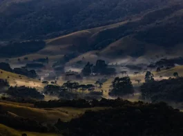 paisagem de propriedade na serra catarinense destacando para a onde de frio que atinge Santa Catarina