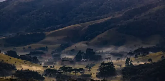 paisagem de propriedade na serra catarinense destacando para a onde de frio que atinge Santa Catarina