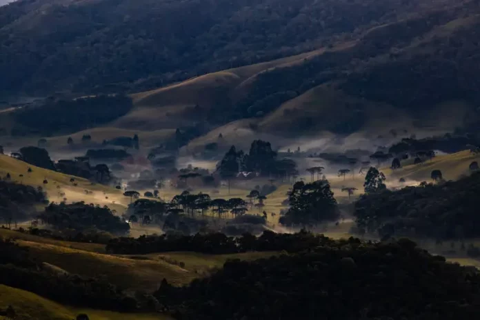 onda de frio paisagem de propriedade na serra catarinense destacando para a onde de frio que atinge Santa Catarina