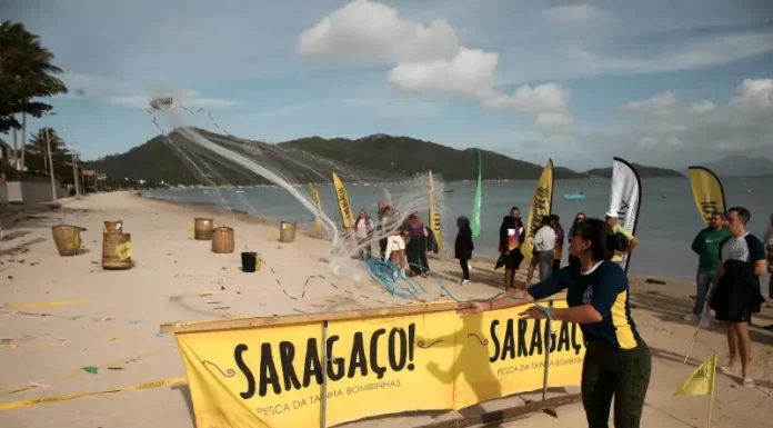 Saragaço completa 10 anos e movimenta Bombinhas com maior gincana cultural da pesca artesanal da tainha Participantes do Saragaço, competindo em provas da gincana cultural