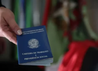 Sine oferece mais de 8 mil vagas de emprego em Santa Catarina Mão segurando carteira de trabalho, simbolizando as vagas de emprego em Santa Catarina