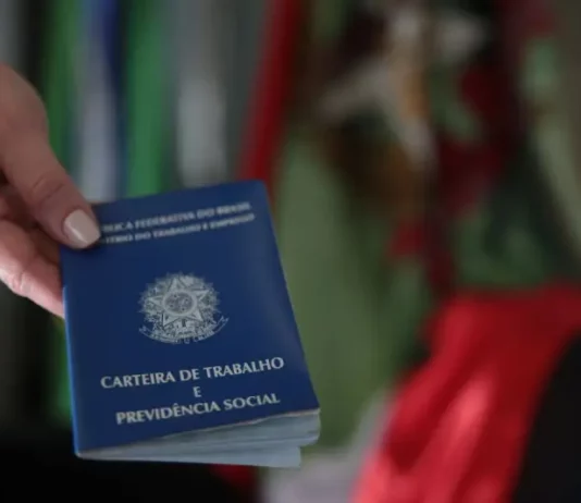 Mão segurando carteira de trabalho, simbolizando as vagas de emprego em Santa Catarina