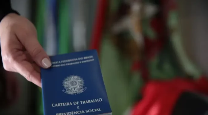 Mão segurando carteira de trabalho, simbolizando as vagas de emprego em Santa Catarina