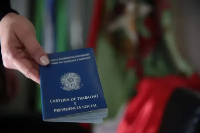 Mão segurando carteira de trabalho, simbolizando as vagas de emprego em Santa Catarina