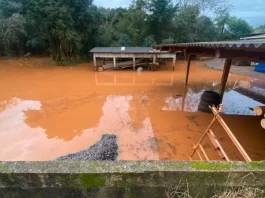 24 municípios de SC registram mais de 100 mm de chuva em apenas um dia Foto de alagamento no município de São Domingos após chuva intensa