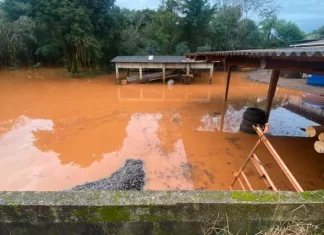 24 municípios de SC registram mais de 100 mm de chuva em apenas um dia Foto de alagamento no município de São Domingos após chuva intensa