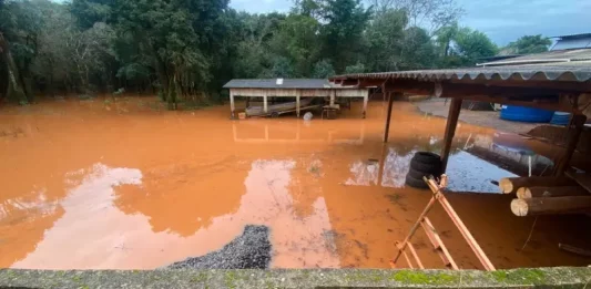 24 municípios de SC registram mais de 100 mm de chuva em apenas um dia Foto de alagamento no município de São Domingos após chuva intensa