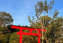 Foto do Jardim Japones de Florianópolis