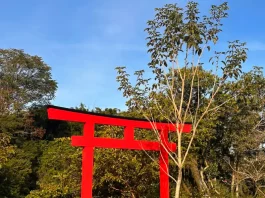 Foto do Jardim Japones de Florianópolis