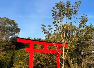 Foto do Jardim Japones de Florianópolis
