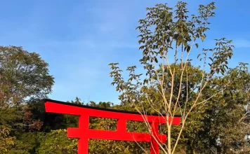Foto do Jardim Japones de Florianópolis