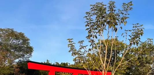 Foto do Jardim Japones de Florianópolis