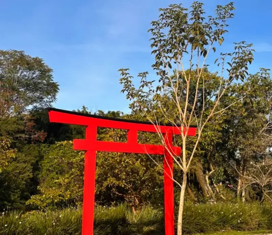 Florianópolis inicia construção do primeiro Jardim Japonês da Capital Foto do Jardim Japones de Florianópolis