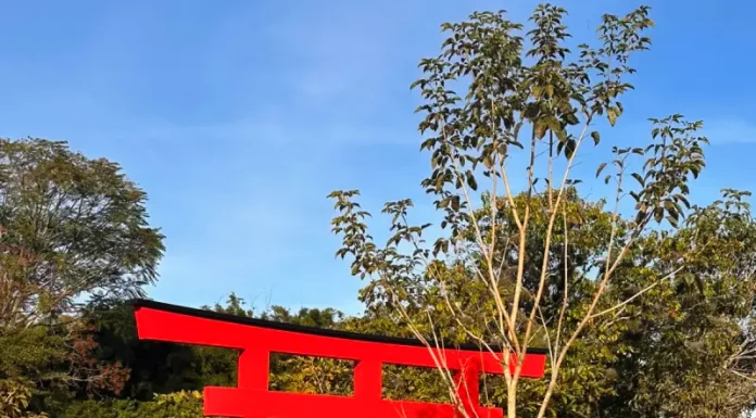 Florianópolis inicia construção do primeiro Jardim Japonês da Capital Foto do Jardim Japones de Florianópolis