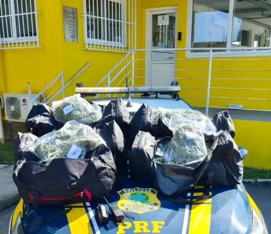 Viatura da PRF com drogas apreendidas em cima do capô