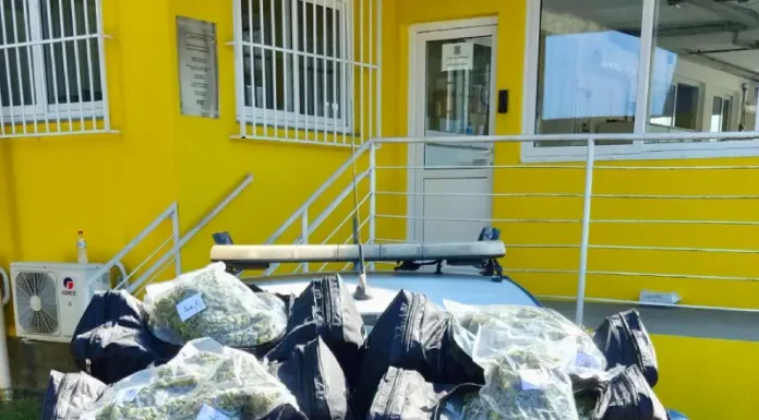 PRF intercepta 24 quilos de maconha na BR-101 em Paulo Lopes Viatura da PRF com drogas apreendidas em cima do capô