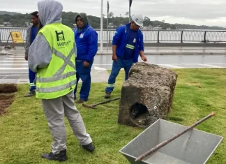 Foto do achado arqueológico na Lagoa da Conceição