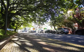 Rua arborizada de Florianópolis com árvores de grande porte formando um corredor verde sobre a via, ilustrando a importância da arborização urbana para o sombreamento e a qualidade ambiental da cidade.