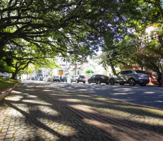 Rua arborizada de Florianópolis com árvores de grande porte formando um corredor verde sobre a via, ilustrando a importância da arborização urbana para o sombreamento e a qualidade ambiental da cidade.