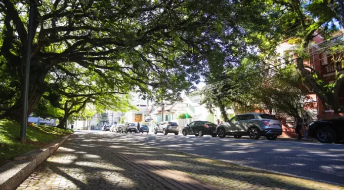 Rua arborizada de Florianópolis com árvores de grande porte formando um corredor verde sobre a via, ilustrando a importância da arborização urbana para o sombreamento e a qualidade ambiental da cidade.