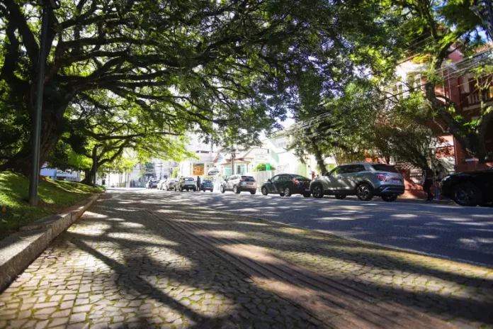 arborização-urbana-florianópolis Rua arborizada de Florianópolis com árvores de grande porte formando um corredor verde sobre a via, ilustrando a importância da arborização urbana para o sombreamento e a qualidade ambiental da cidade.