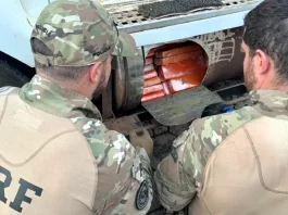 Motorista paraguaio é preso com 581 quilos de maconha na BR-282 em Xanxerê Agentes da PRF retirando as drogas de compartilhamento em caminhão qu resultou na prisão de um motorista paraguaio